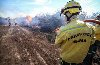 Desigualdade define capacidade de enfrentar incêndios no Pantanal