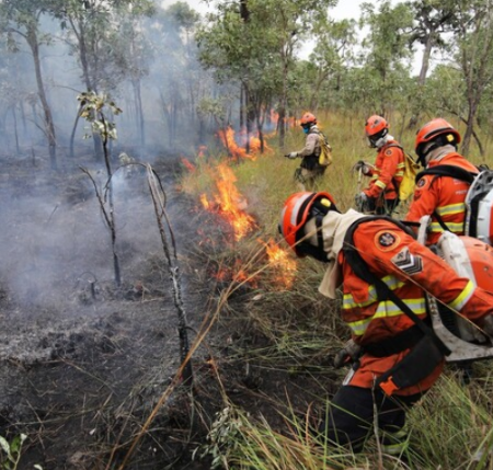 Desigualdade define capacidade de enfrentar incêndios no Pantanal