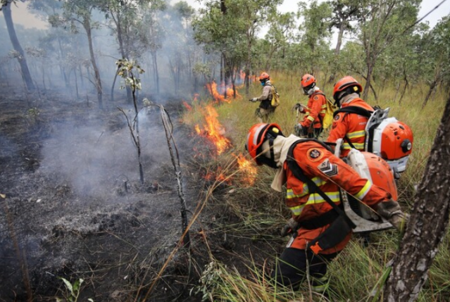 Desigualdade define capacidade de enfrentar incêndios no Pantanal