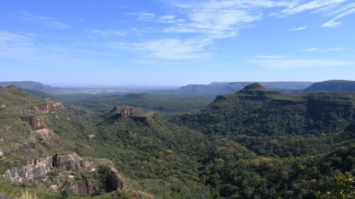 Pantanal reduz desmatamento em 65% e Cerrado tem queda de 11,5%