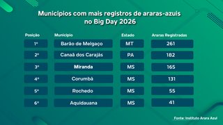 MS lidera contagem nacional de araras-azuis com 493 aves em 17 municípios MS lidera contagem nacional de araras-azuis com 493 aves em 17 municípios