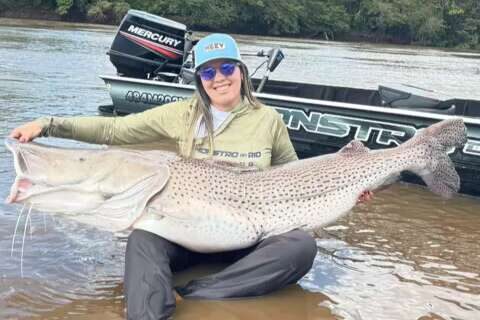 Pintado de 1,53 metro pescado no Rio Dourado garante recorde feminino de captura
