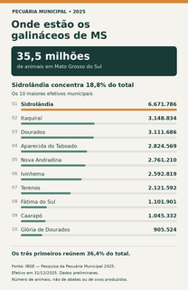 Sidrolândia concentra quase um quinto dos galináceos de MS, aponta IBGE Sidrolândia concentra quase um quinto dos galináceos de MS, aponta IBGE