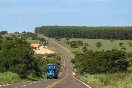 Pressão da agroindústria alavanca valor das terras no Vale da Celulose