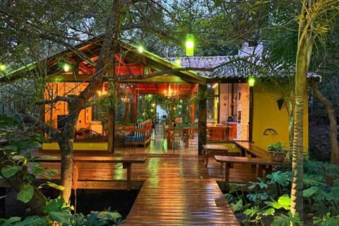 Casa se esconde entre árvores e tem até piscina no meio da mata