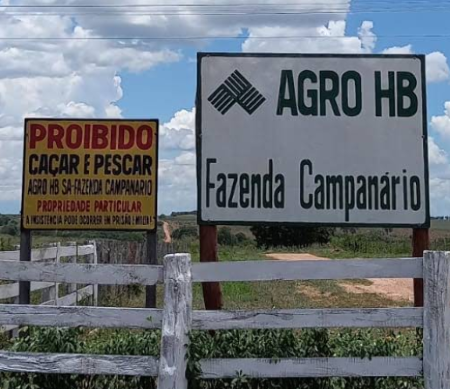 Audiência na 5ª feira discute desmatamento de 5.934 hectares em fazenda