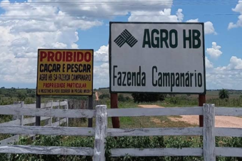 Audiência na 5ª feira discute desmatamento de 5.934 hectares em fazenda