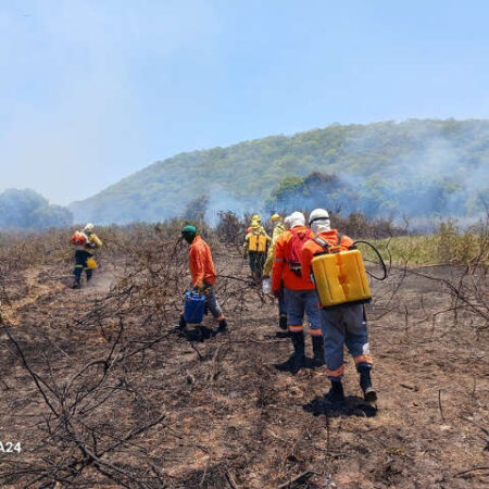 Instituto busca brigadistas para trabalho em área remota do Pantanal