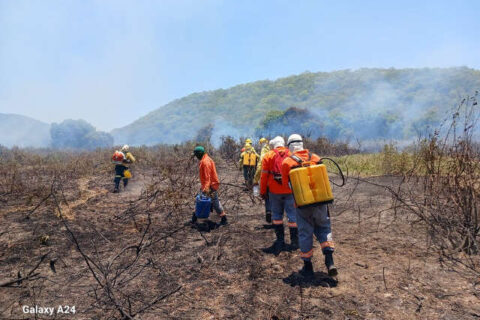Instituto busca brigadistas para trabalho em área remota do Pantanal