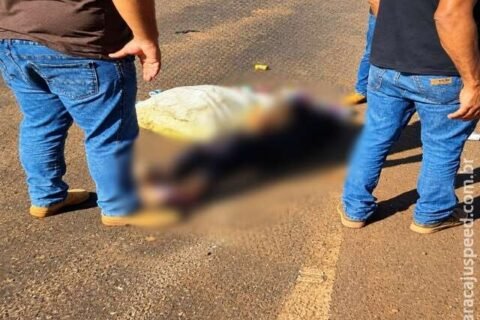 Coletora de recicláveis morre atropelada por carreta na BR-267