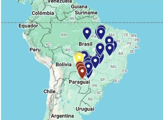 MS lidera contagem nacional de araras-azuis com 493 aves em 17 municípios MS lidera contagem nacional de araras-azuis com 493 aves em 17 municípios