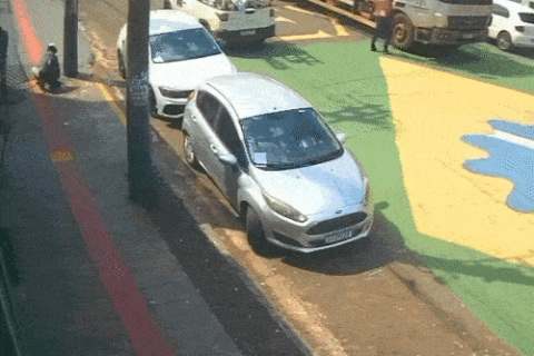 Vereadora diz que "gato" no Sarau Delas foi feito pela Prefeitura