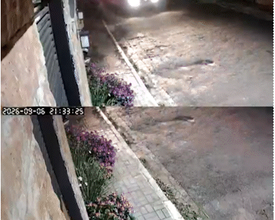 Ex encomenda sequestro de mulher e a estupra; áudio da vítima mostra terror