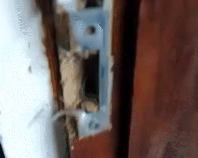 Agência do Detran é arrombada, tem celulares e câmeras fotográficas furtadas