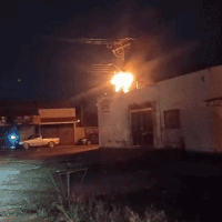 Queda de árvore rompe cabo e provoca incêndio em fiação