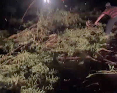 Sul de MS entra em área com risco de tornados na quinta-feira