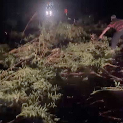 Sul de MS entra em área com risco de tornados na quinta-feira