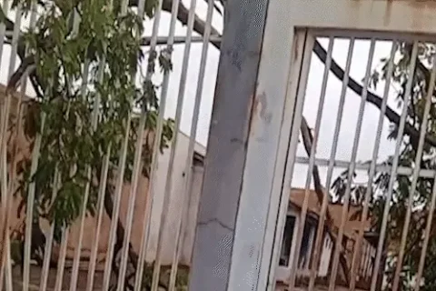 Árvore sobre fios faz moradora deixar casa após temporal