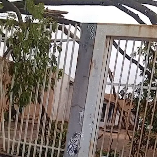 Árvore sobre fios faz moradora deixar casa após temporal