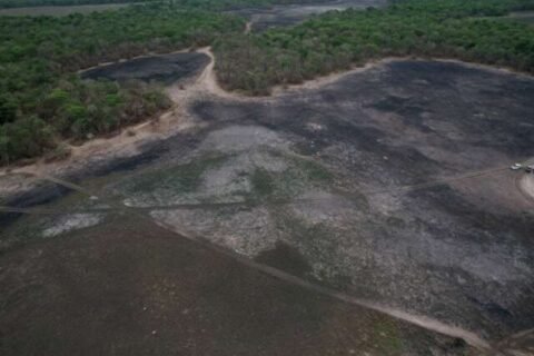 Incêndios que consumiram cerca de 1 mil hectares em Aquidauana são investigados