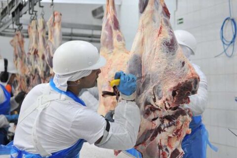 Exportações de carne disparam e superam US$ 2,47 bilhões em MS