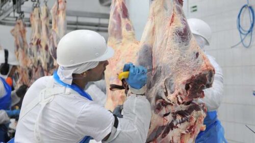 Exportações de carne disparam e superam US$ 2,47 bilhões em MS