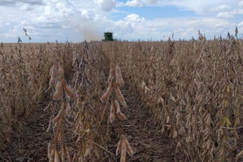 Produtores ganham nova chance para renegociar dívidas rurais