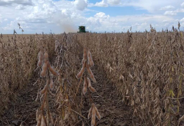 Produtores ganham nova chance para renegociar dívidas rurais