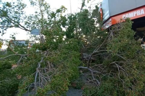 Semana começa com risco de temporal, granizo e ventos fortes