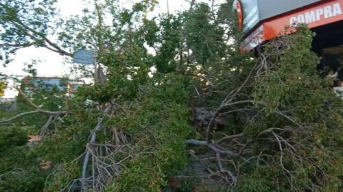 Semana começa com risco de temporal, granizo e ventos fortes