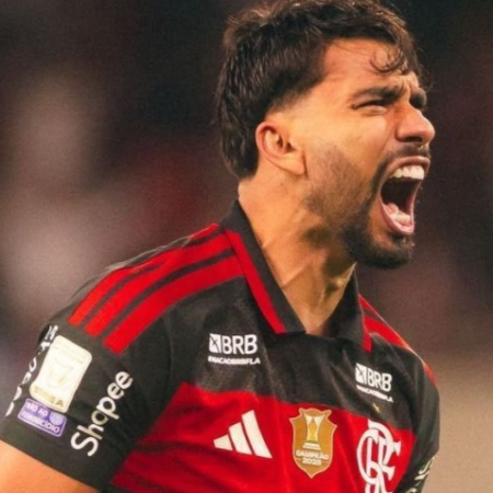 Flamengo vence no fim e retoma liderança do Campeonato Brasileiro