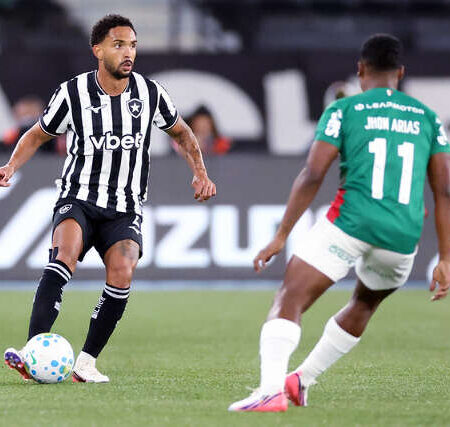 Palmeiras empata com Botafogo e perde liderança para o Flamengo