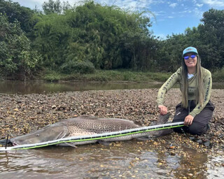 Pintado de 1,53 metro pescado no Rio Dourado garante recorde feminino de captura Pintado de 1,53 metro pescado no Rio Dourado garante recorde feminino de captura