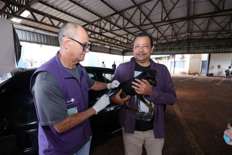 Cinco locais recebem vacinação antirrábica para cães e gatos nesta sexta em Dourados