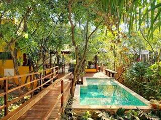 Casa se esconde entre árvores e tem até piscina no meio da mata