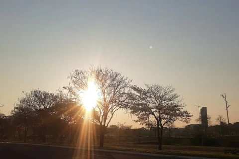 MS enfrenta onda de calor intensa e termômetros passam dos 40°C nesta sexta