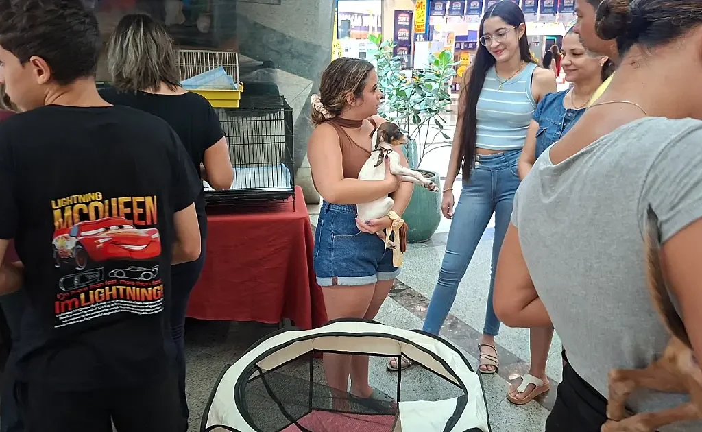 Feira de adoção volta ao Bosque dos Ipês com cães e gatos à espera de um lar
