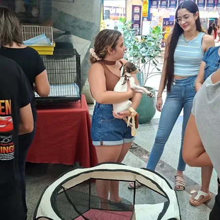 Feira de adoção volta ao Bosque dos Ipês com cães e gatos à espera de um lar