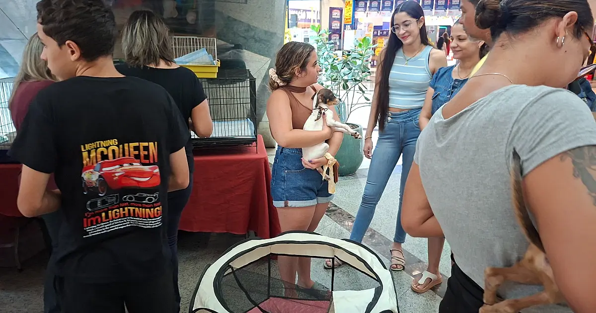 Feira de adoção volta ao Bosque dos Ipês com cães e gatos à espera de um lar