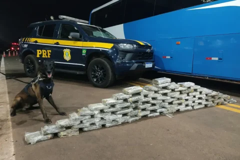 Operação da PRF apreende mais de 300 kg de drogas em MS
