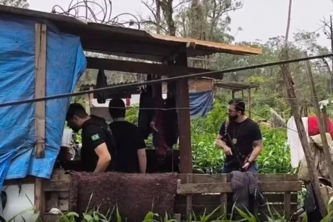 Menina de 2 anos morre após ser atacada a marteladas dentro de casa