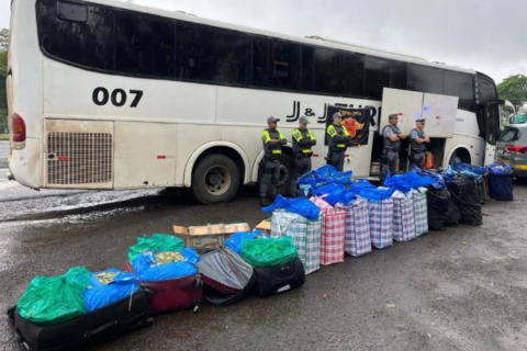 Ônibus que saiu de MS levava carga recorde de 746 kg de folhas de coca