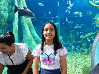 Sereia encanta crianças e ganha até visita de princesa no Bioparque Sereia encanta crianças e ganha até visita de princesa no Bioparque