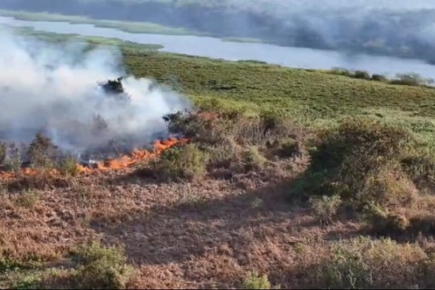Área queimada no Pantanal cresce 42% e passa de 124 mil hectares
