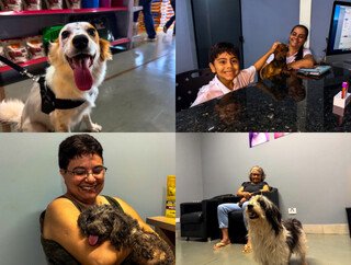 Pet shop cresce na Rua da Divisão e vira aliado de quem mora na região Pet shop cresce na Rua da Divisão e vira aliado de quem mora na região