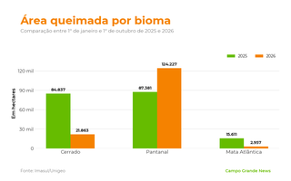 Área queimada no Pantanal cresce 42% e passa de 124 mil hectares