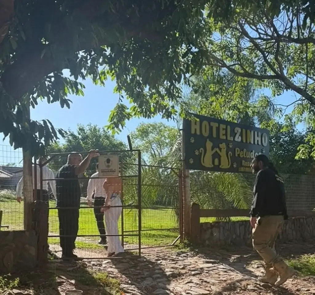Após agressões, hotel para pets fecha as portas e devolve animais em Bonito