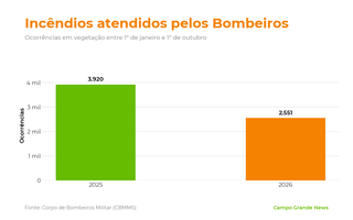 Área queimada no Pantanal cresce 42% e passa de 124 mil hectares