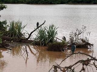 Água baixa no Lago do Amor e deixa para trás lixo espalhado pelas margens Água baixa no Lago do Amor e deixa para trás lixo espalhado pelas margens
