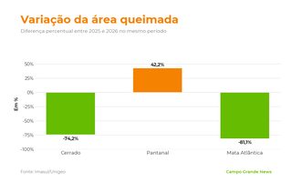 Área queimada no Pantanal cresce 42% e passa de 124 mil hectares